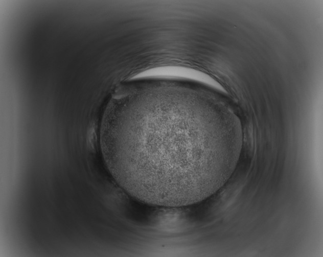 X0000088450127200705291519