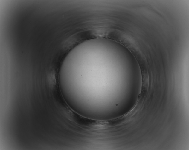 X0000088450128200705291519