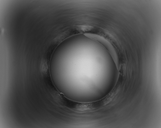 X0000088450129200705291519