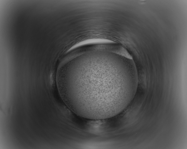 X0000088450131200705291519