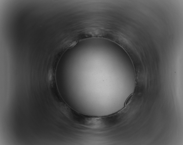X0000088450132200705291519
