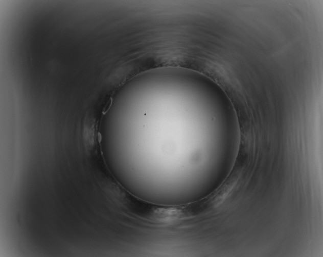 X0000088450133200705291519