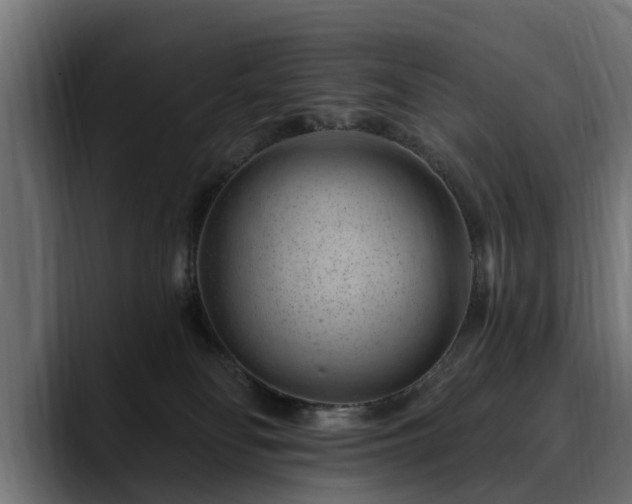 X0000088450134200705291519