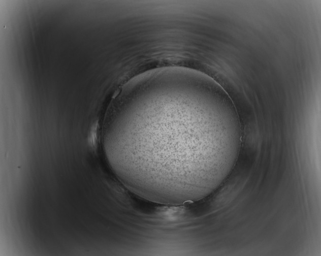 X0000088450135200705291519