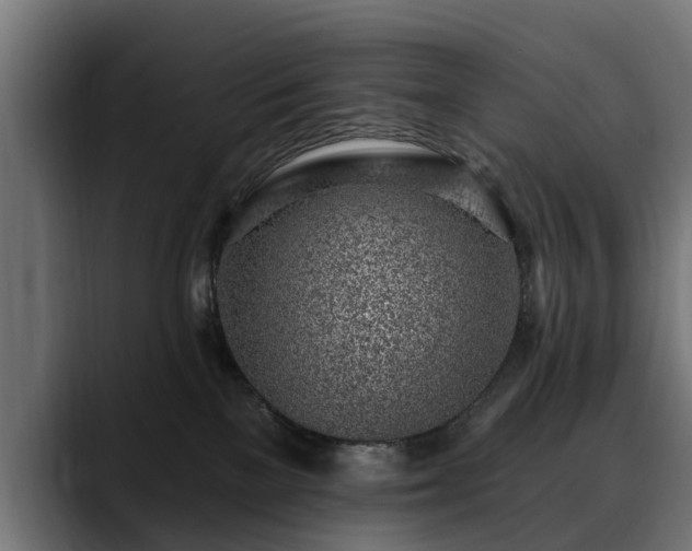 X0000088450137200705291519