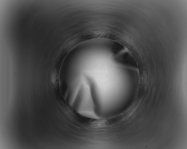 X0000088450138200705291519