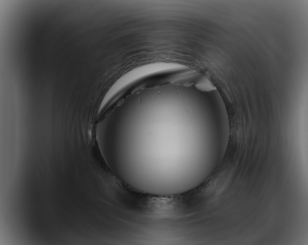 X0000088450139200705291519