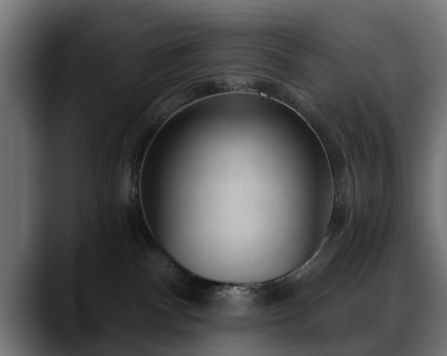 X0000088450140200705291519