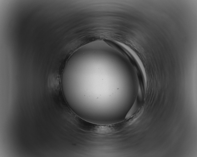 X0000088450141200705291519