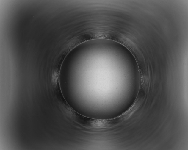X0000088450142200705291519