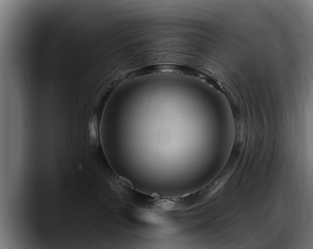X0000088450143200705291519
