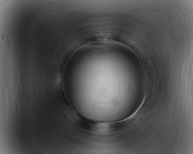 X0000088450144200705291519