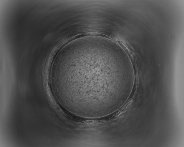 X0000088450145200705291519
