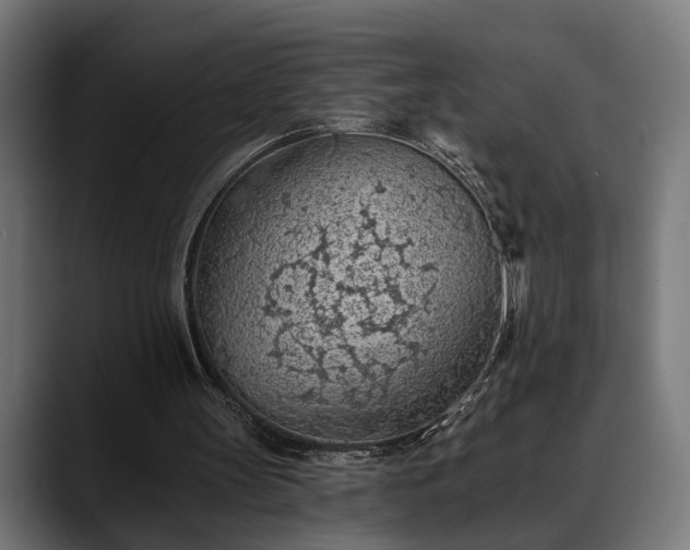 X0000088450147200705291519