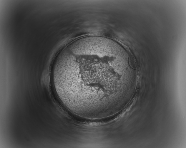 X0000088450149200705291519