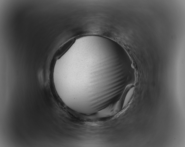 X0000088450150200705291519
