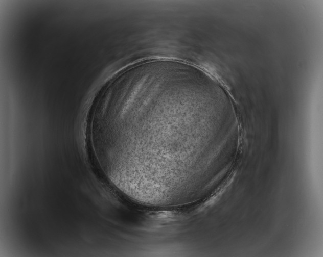 X0000088450151200705291519