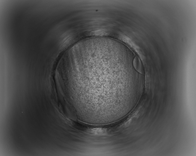 X0000088450153200705291519