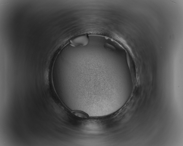 X0000088450154200705291519