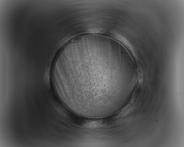 X0000088450155200705291519