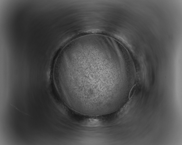X0000088450159200705291519