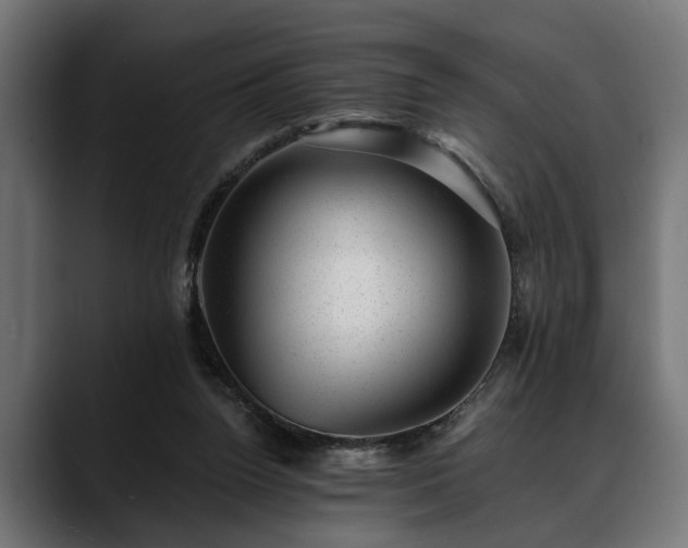 X0000088450160200705291519