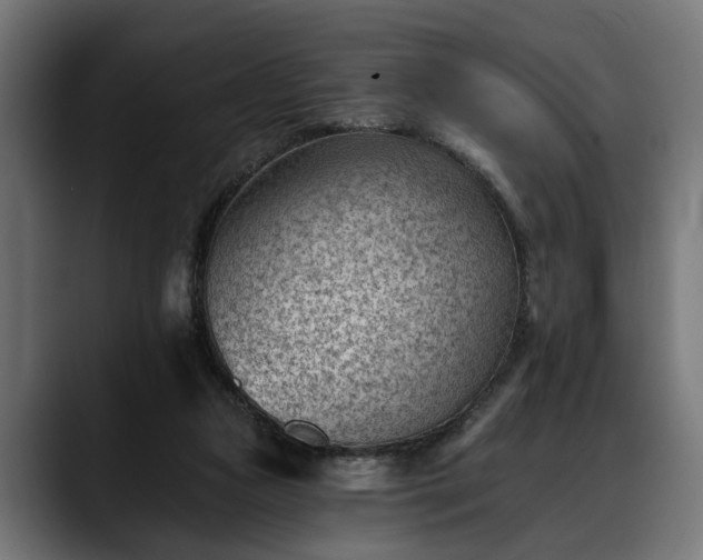 X0000088450161200705291519