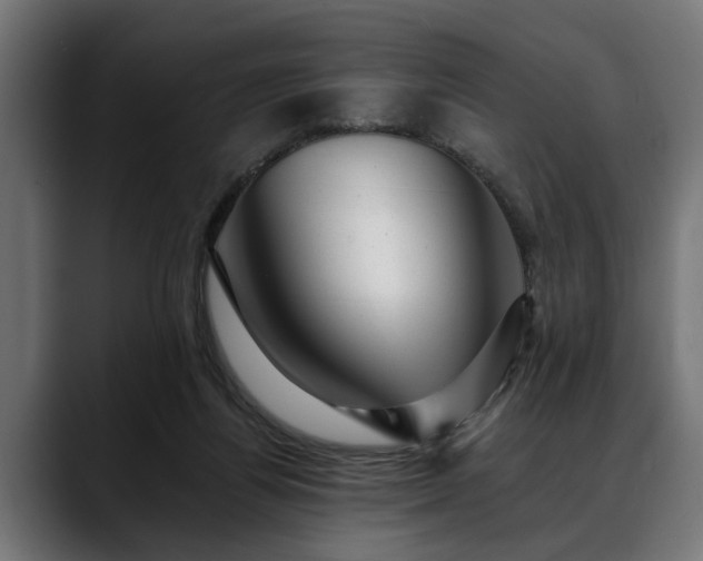 X0000088450164200705291519