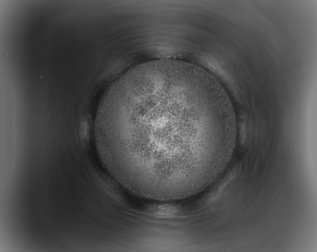 X0000088450165200705291519