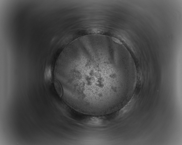 X0000088450166200705291519