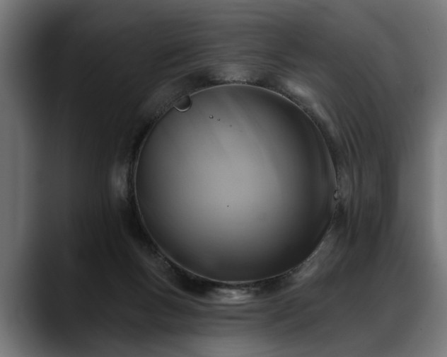 X0000088450167200705291519