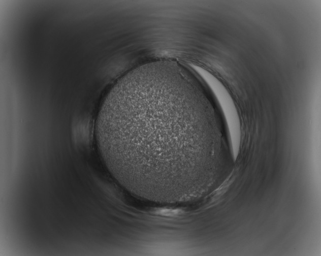 X0000088450168200705291519