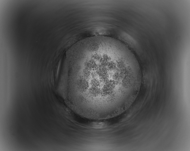 X0000088450169200705291519
