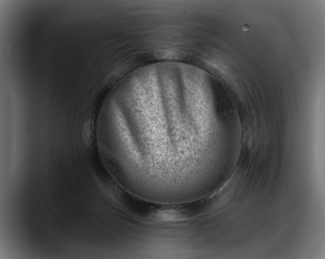 X0000088450171200705291519