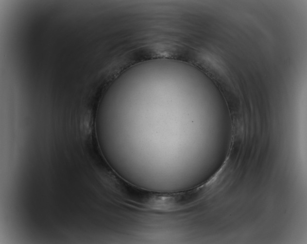 X0000088450174200705291519