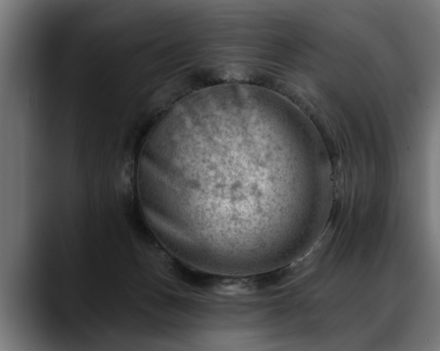 X0000088450175200705291519