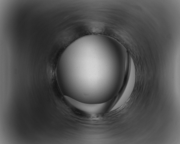 X0000088450176200705291519