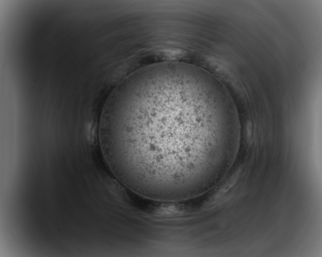 X0000088450177200705291519