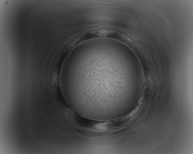 X0000088450178200705291519