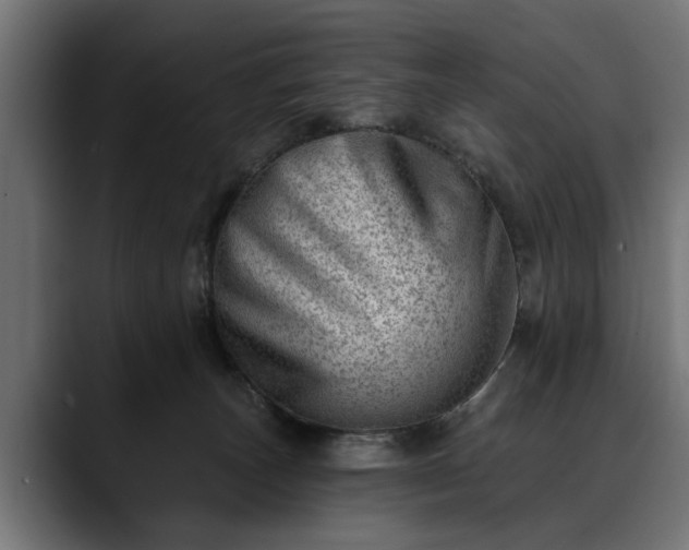 X0000088450179200705291519