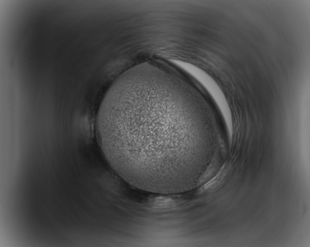 X0000088450180200705291519