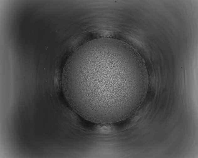 X0000088450181200705291519