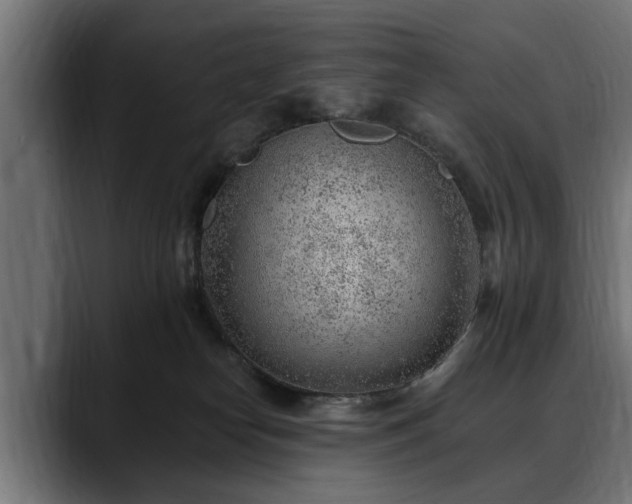 X0000088450182200705291519
