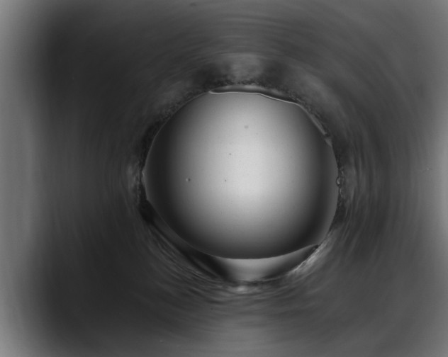 X0000088450184200705291519