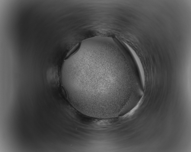 X0000088450186200705291519