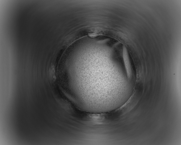 X0000088450187200705291519