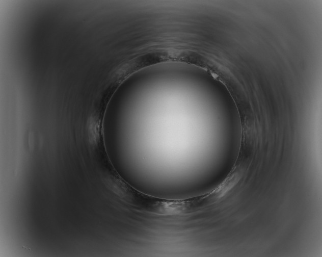 X0000088450188200705291519