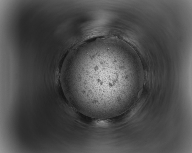 X0000088450189200705291519