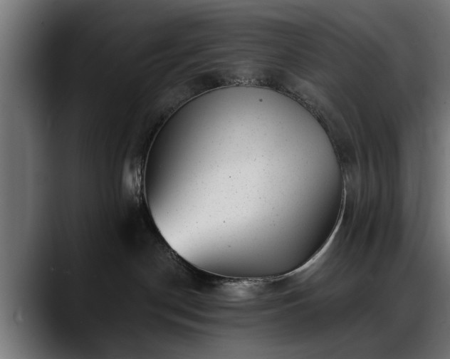 X0000088450190200705291519