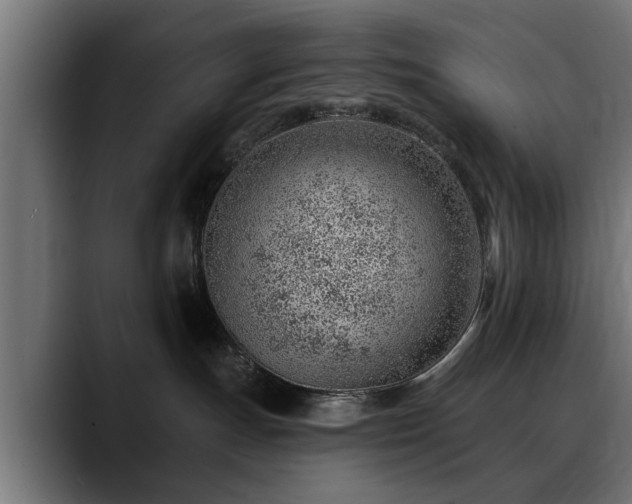 X0000088450191200705291519